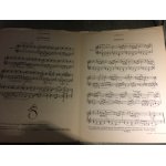Jardin d'enfants deux pices pour piano crpuscule / cancion editions lemoine partition clergue sas