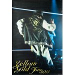 Jin akanishi - yellow gold tour 2011 taille : 61x91cm - affiche - envoie roul