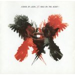 Lot de 4 cd de kings of leon: because of the times - only by the night - aha shake heartbreake - come ...