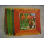 Lot de 5 walt disney (alice, peter belle, robin et aristochats) la boite enchantee