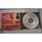 Manolo et ricao : guitare flamenco. Manolo et ricao : guitare flamenco.