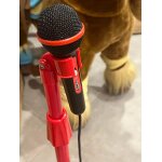 Micro the voice lansay Micro the voice lansay
