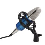 Microphone condensateur studio professionnel rw - 301