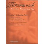 Musique pour flûte - ouverture en si mineur pour flûte traversière Musique pour flûte - ouverture en si mineur pour flûte traversière