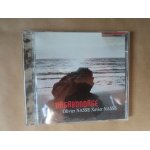 Olivier nasse / xavier nasse   vagabondage  cd illustration sonore