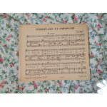 Ombrelles et parapluie