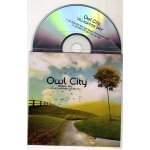 Owl city   alligator sky