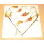 Pagny florent - l'air du temps - cecilia cara - cd 1 titre