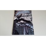 Photo tirage numerique brillant mathieu chedid 19 x 28 cm Photo tirage numerique brillant mathieu chedid 19 x 28 cm