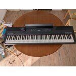 Piano alesis recital pro