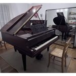 A vendre piano pleyel 1 / 4 de queue, num�ro s�rie 157006 , enti�rement restaur�, facture a l'appui , ...
