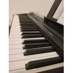 Piano yamaha p - 46 + stand l 85 b + pdale