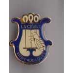 Pin's instrument de musique lyre harmonie fanfare la cigale de vitry aux loges ville du loiret 45 ref ...
