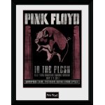 Pink floyd - 1977 - 30x40cm - encadré Pink floyd - 1977 - 30x40cm - encadré