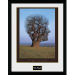 Pink floyd - tree - 30x40cm encadré Pink floyd - tree - 30x40cm encadré