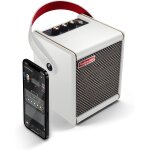 Positive grid spark mini pearl ampli guitare portable & enceinte bluetooth