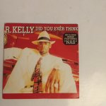 R. kelly  did you ever think featuring  nas