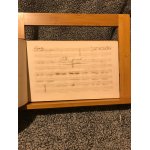 Recueil manuscrit pour piano volume reli�  r�pertoire des salons de paris