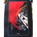 Regate nippon - affiche musique / concert / poster