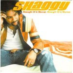 Shaggy (strength of a woman) cd 5 titres