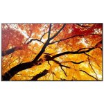 Sharp multisync pn - m552 - 55  m2 series �cran lcd r�tro - �clair� par led - signalisation num�rique ...