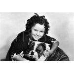 Shirley temple aime les chiens film 9, 5 mm en 2 bobines noir et blanc muet avec des cartons en fran�ais ...