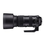 Sigma 60 - 600mm f4. 5 - 6. 3 dg os hsm sport pour canon