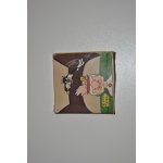 Silvestro titi et grosminet l'invisibilit� super 8