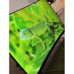 T�l�viseur thomson, taille 55 pouces, oled incurv�
