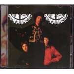 The jimi hendrix experience cd are you experienced