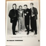 Tirage photo n&b  the fabulous thunderbirds , 19087