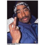 Tupac shakur - new york 1996 - 59x84cm - affiche / poster envoi en tube Tupac shakur - new york 1996 - 59x84cm - affiche / poster envoi en tube