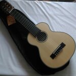 Ukulele guitare guitalele 6 cordes + housse