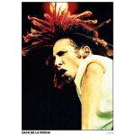 Zack de la rocha - 59x84cm - affiche / poster envoi en tube