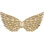 Ailes de nyla