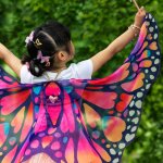 Ailes papillon (85 cm)