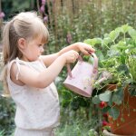 Arrosoir fairy garden rose