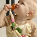 Attache - sucette ramona the radish