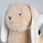 Bascule lapin hop