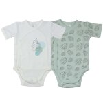 Lot de 2 bodies feuille (naissance)