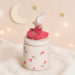 Bo�te � dents de lait ballerine