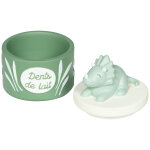 Bo�te � dents de lait dinosaure