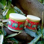 Bongo el�phant
