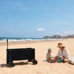 Chariot de transport rollster mystic black