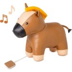 Charles le cheval musical