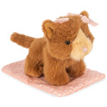 Peluche chat et sa caisse