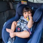 Clip de s�curit� pour harnais