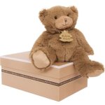 Coffret peluche calin'ours les ours marron (25 cm)