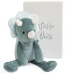 Coffret peluche dinosaure sweety chou copains clins (30 cm)