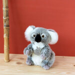 Coffret peluche koala les authentiques (25 cm)